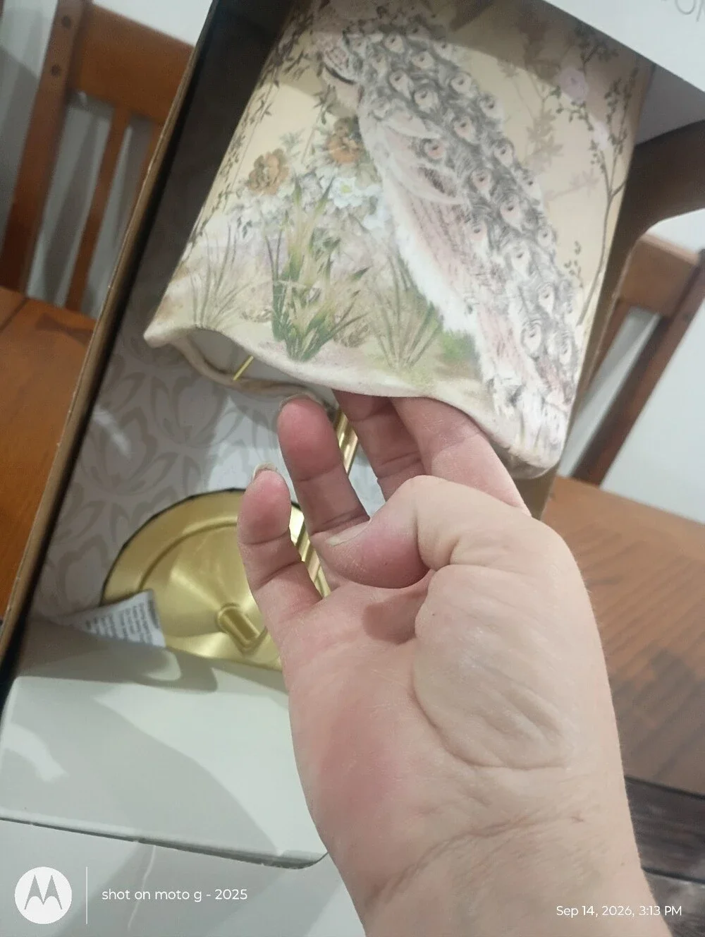 Tik Tok Viral Karma Home Peacock Cream Floral LED Wall Sconce